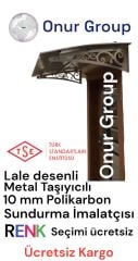 Kapı Üstü Sundurma  150 x 100