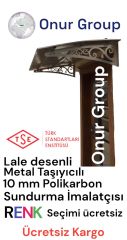 Kapı Üstü Sundurma  200 x 100